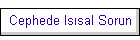 Cephede Is�sal Sorun